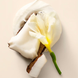 Лосьйон Coconut Passion Whipped Victoria&rsquo;s Secret VS-CPWL фото 2